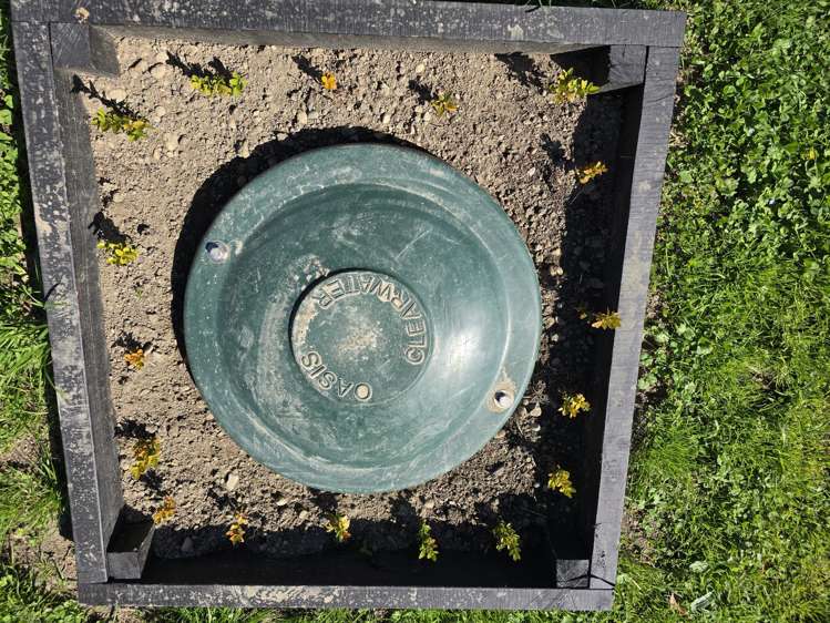 44 Waymouth Street Fairton_14