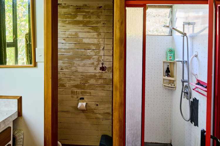 9 Nikau Street Eastbourne_17