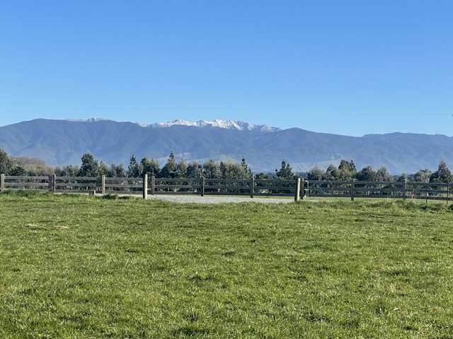 Phelps Way Morisons Bush_1