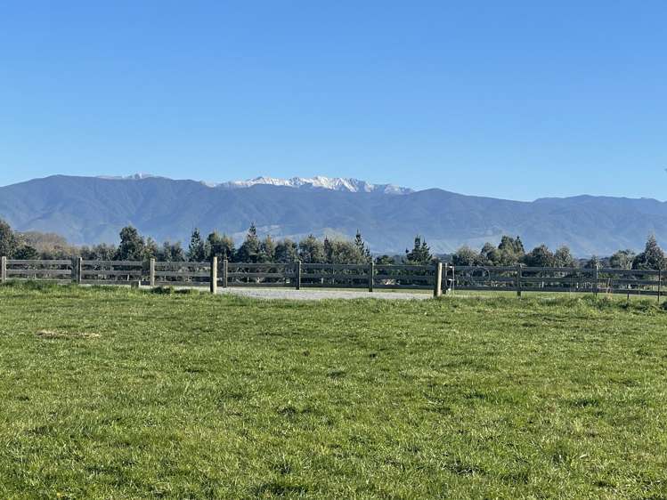 Phelps Way Morisons Bush_1