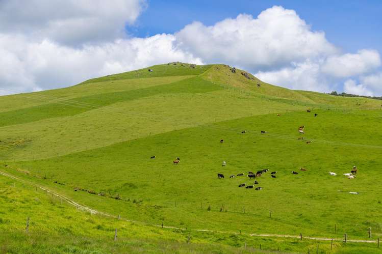 568 Tinopai Road Tinopai_47