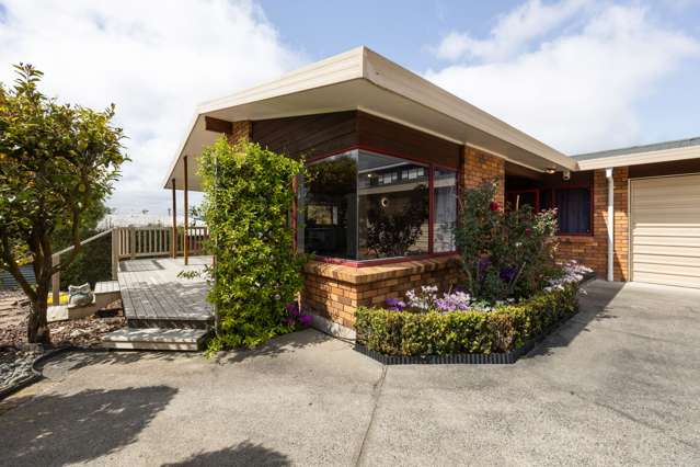 69A Ellicott Road Nawton_1