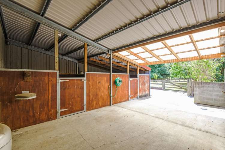 195 Rowes Road Hunterville_15