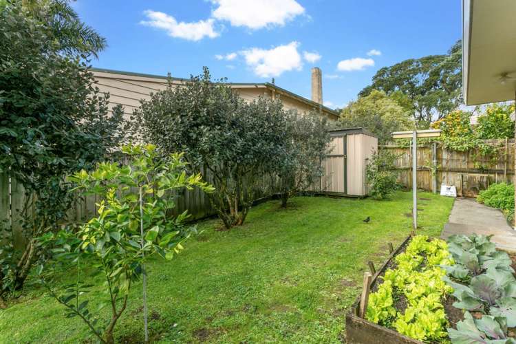 17b Atarangi Road Greenlane_6