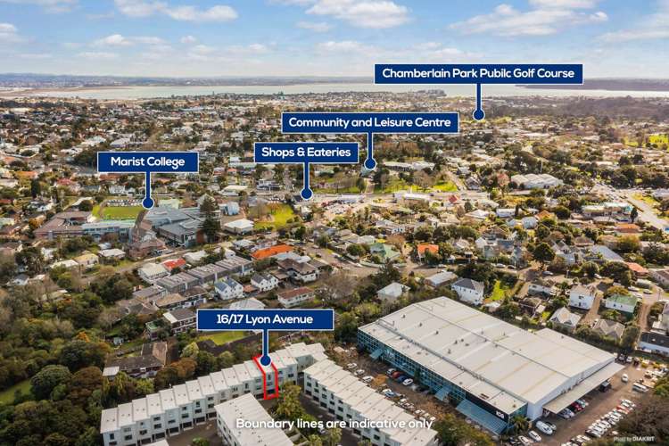 16/17 Lyon Avenue Mount Albert_19