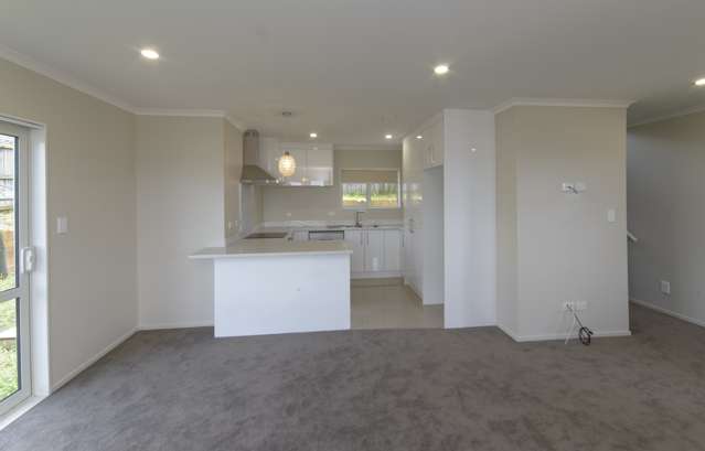 55 Senator Drive Manurewa_2