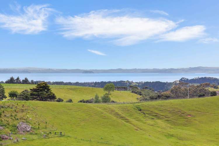 115 Wilson Road South Head_19