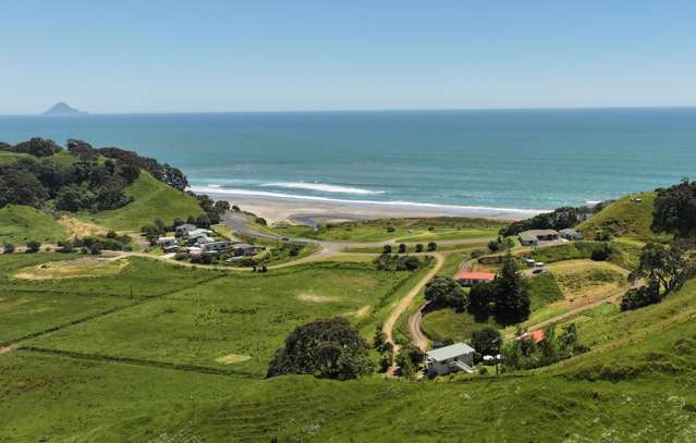 8 Pohutukawa Drive Waiotahe_1