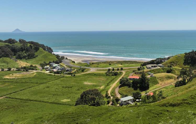 8 Pohutukawa Drive_1