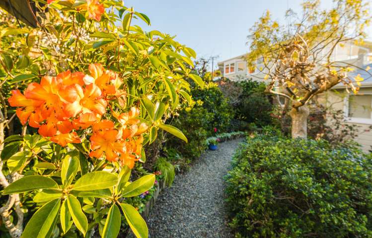 21 Gilliam Street New Lynn_19