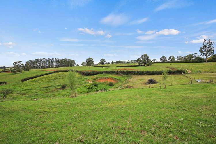 320 Bell Road Pirongia_24