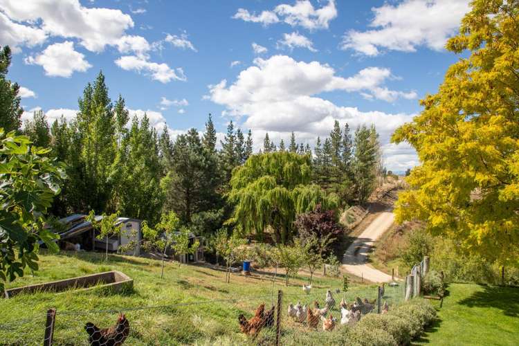 233 Letts Gully Road Alexandra_26