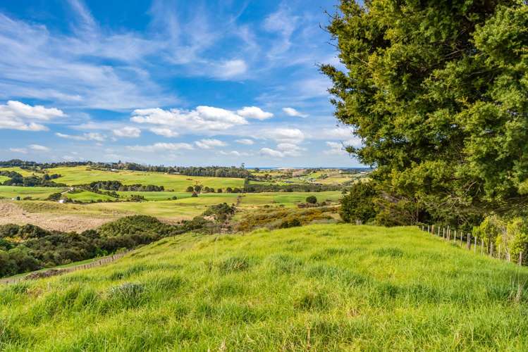 2/115 Lawrence Road Mangawhai_11