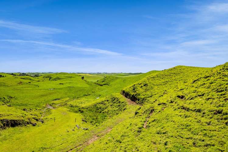 0n Parihaka Road Pungarehu_22