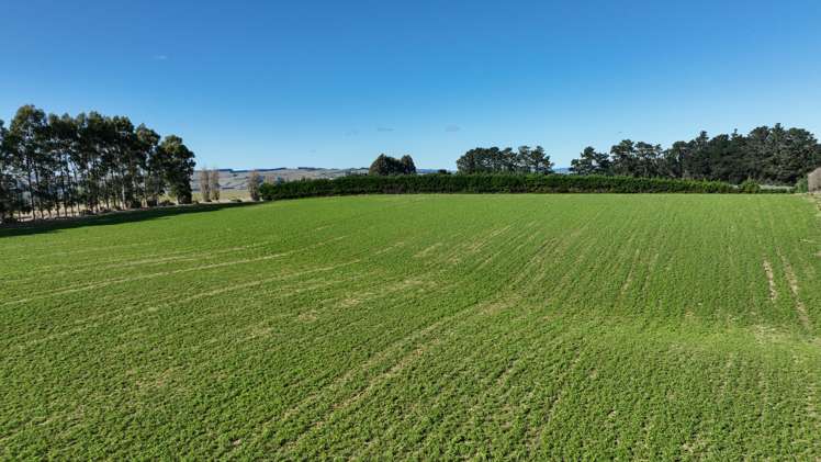 55 McGill Road Te Tipua_5