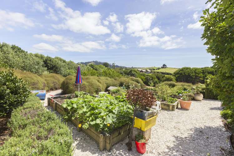 167 Cape Rodney Road Leigh_18