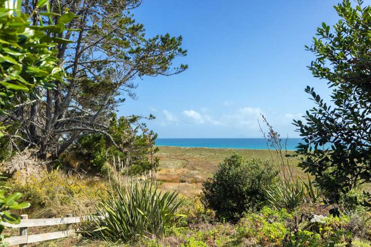 Lot 1/449 Matai Bay Road Karikari Peninsula_13