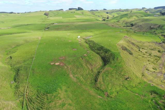 Spur Road Ashhurst_1