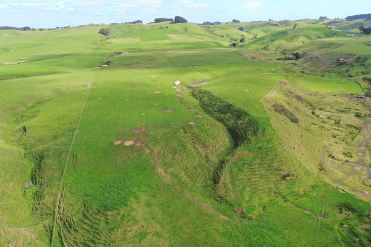 Spur Road Ashhurst_1