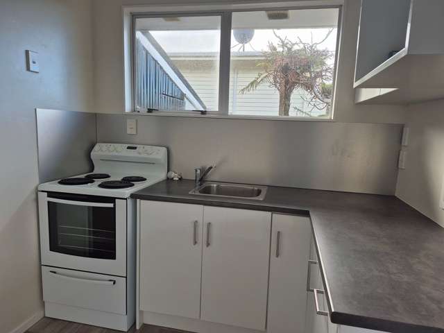 37 Cambrian Street Churton Park_2