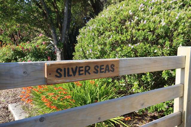 11 Oakham Street Hampden_2