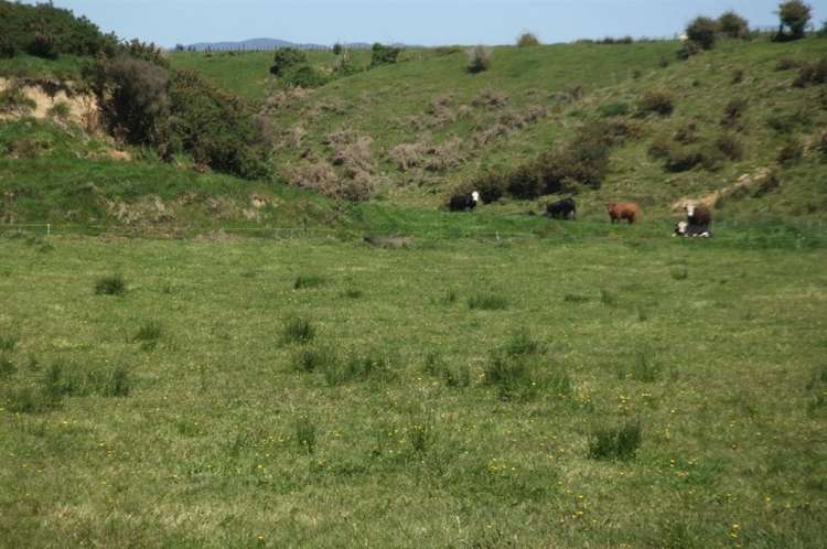 24 Ryland Park Levin_13