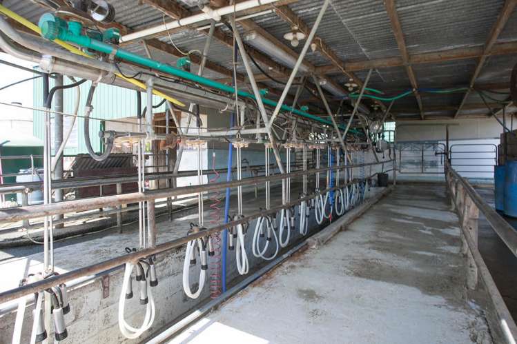 80 Paratu Road Richmond Downs_9