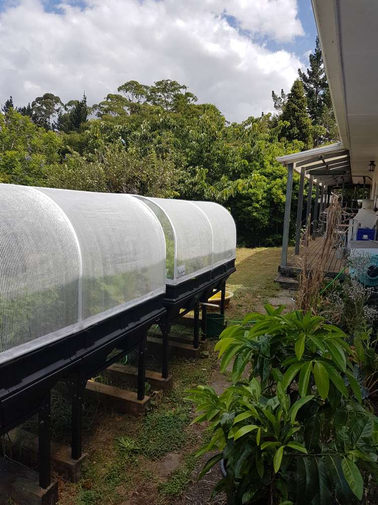 305 Pungaere Road Kerikeri Surrounds_7