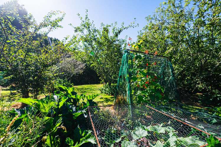 38A Atkinson Road Hurworth_16