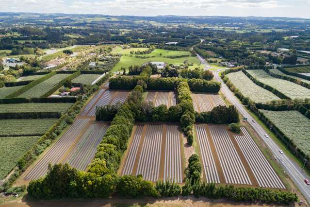 1433 State Hwy 10 Kerikeri_4