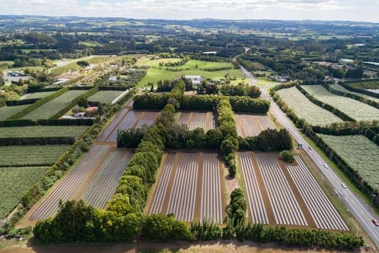 1433 State Highway 10 Kerikeri_4