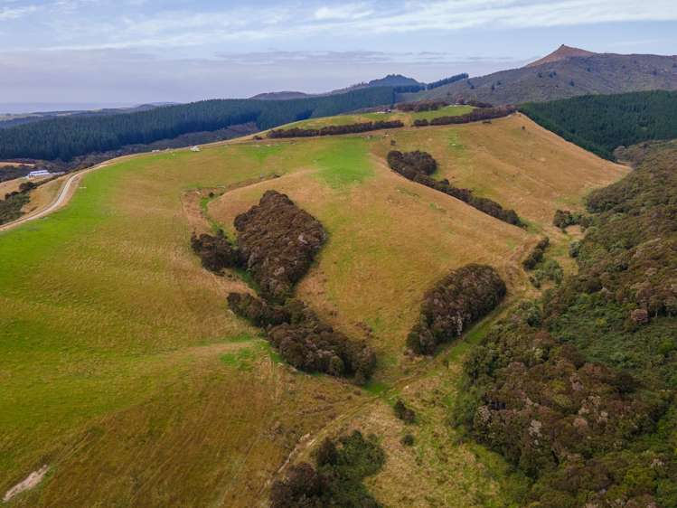 Lot 1 Duncan Road Hampden_7