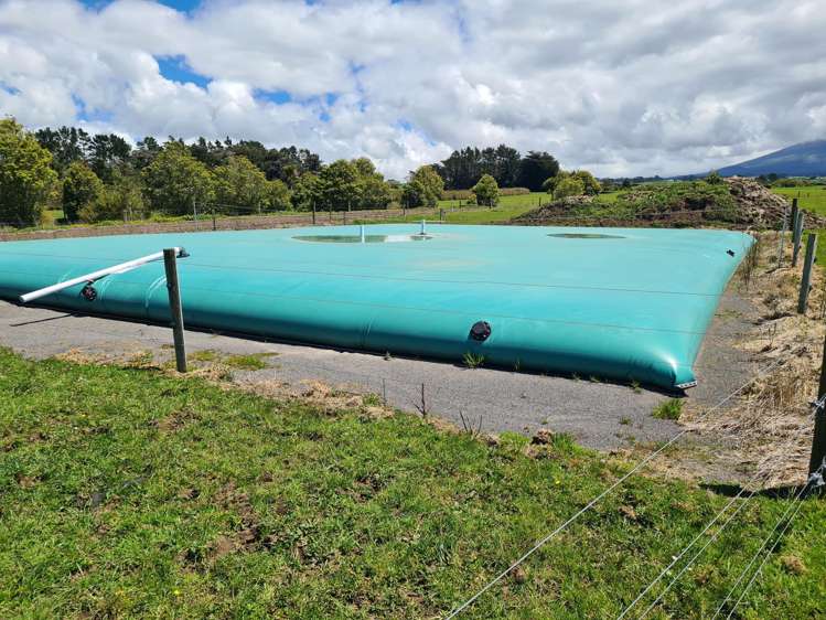 299 Cardiff Road Cardiff_15