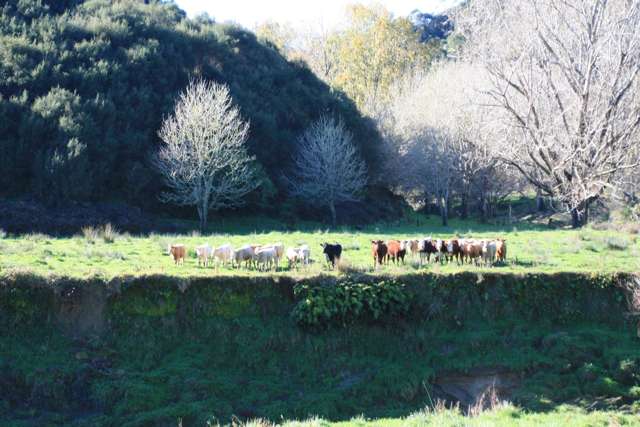 268 Piko Road Okoki_2