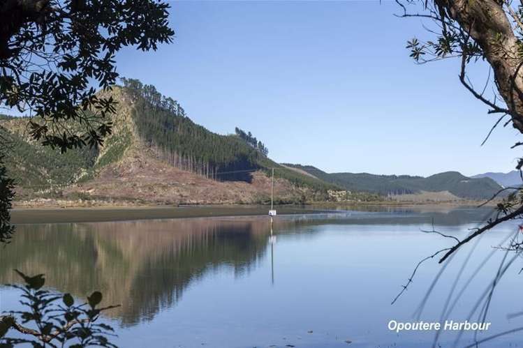 34 Ngahere Terrace Opoutere_9