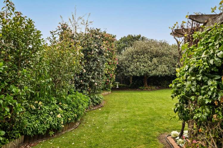 97 Stout Street Whataupoko_15