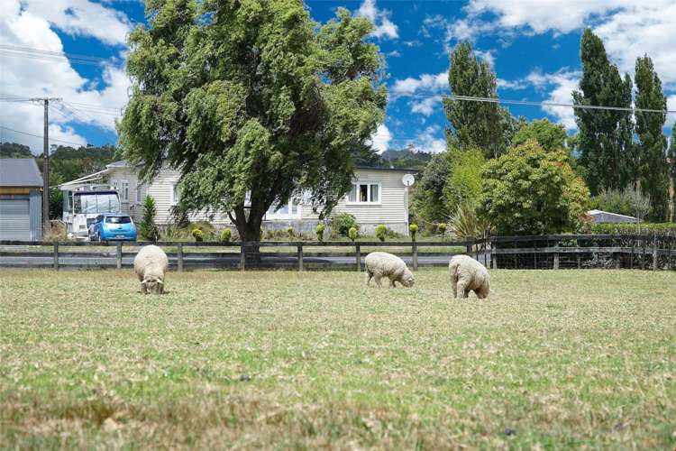 113 Riverhead Road Kumeu_25