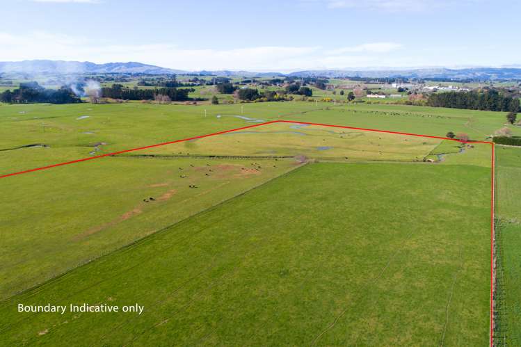 50 Nannestads Line Bunnythorpe_8