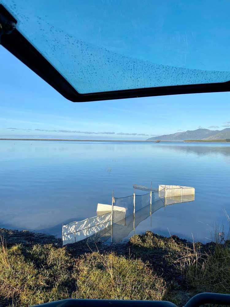 77 Whangaimoana Beach Road Lake Ferry_13