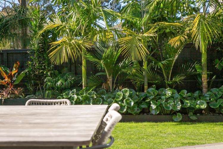 4 Norgrove Avenue Mount Albert_31