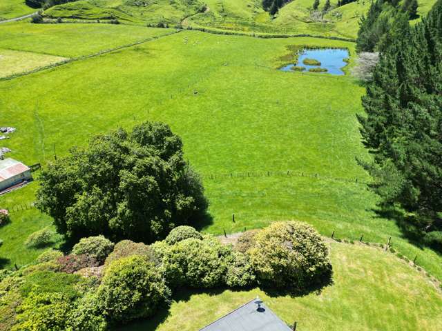 1155 Makuri Road Stratford_2