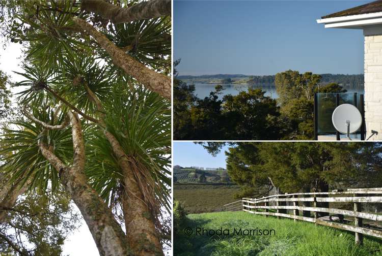 50 Barlow Lane Matakohe_6