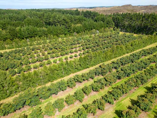 373 Kimberley Road Ngataki_3