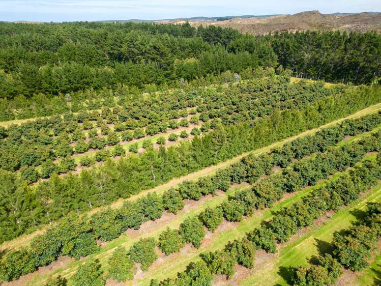 373 Kimberley Road Ngataki_3