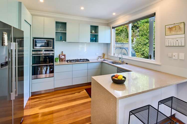 1 Moeller Street Mount Victoria_10