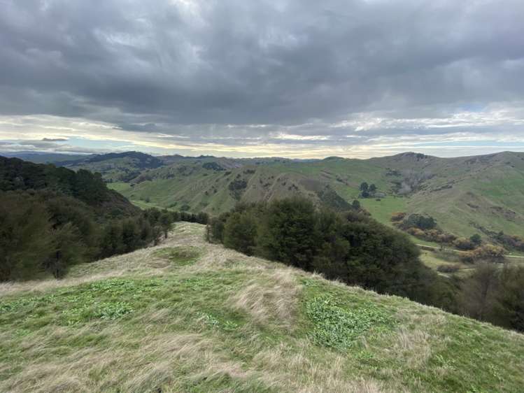 1247 Wharekopae Road Ngatapa_17