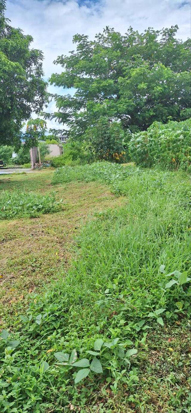 Lot 11 Nacovi, Sonaisali Nadi_3