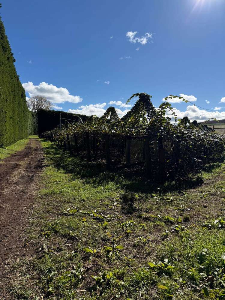 179 Waihi Beach Road Waihi_16