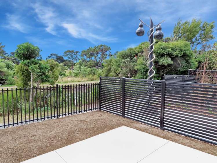 35 Te Ara O Paetutu Petone_10