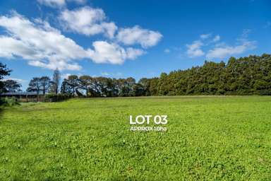 Lot 2 Access Road_3